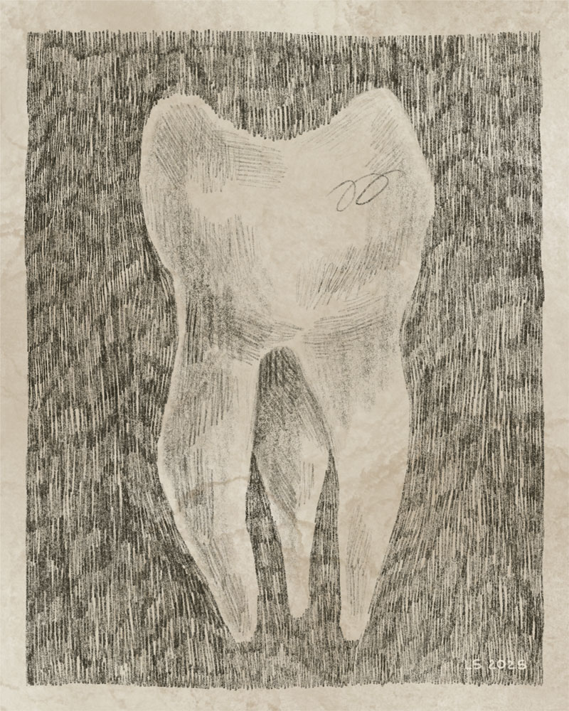 A tooth. 