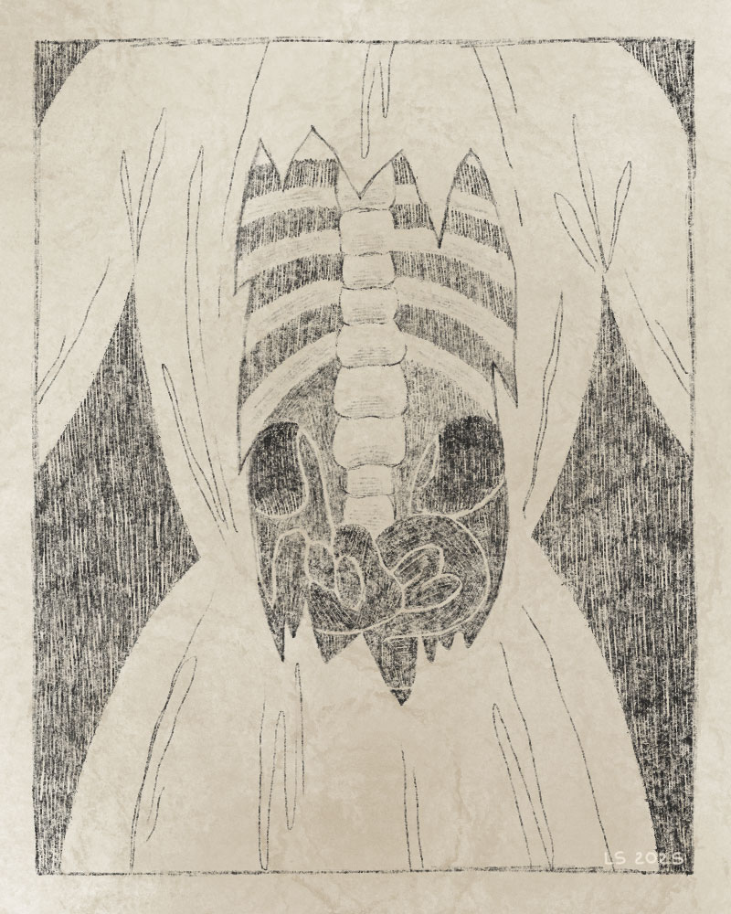 A dress ripped at the back, revealing the insides of the body. 